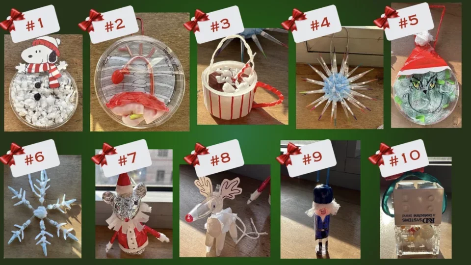Entries and winners for the deck the lab contest