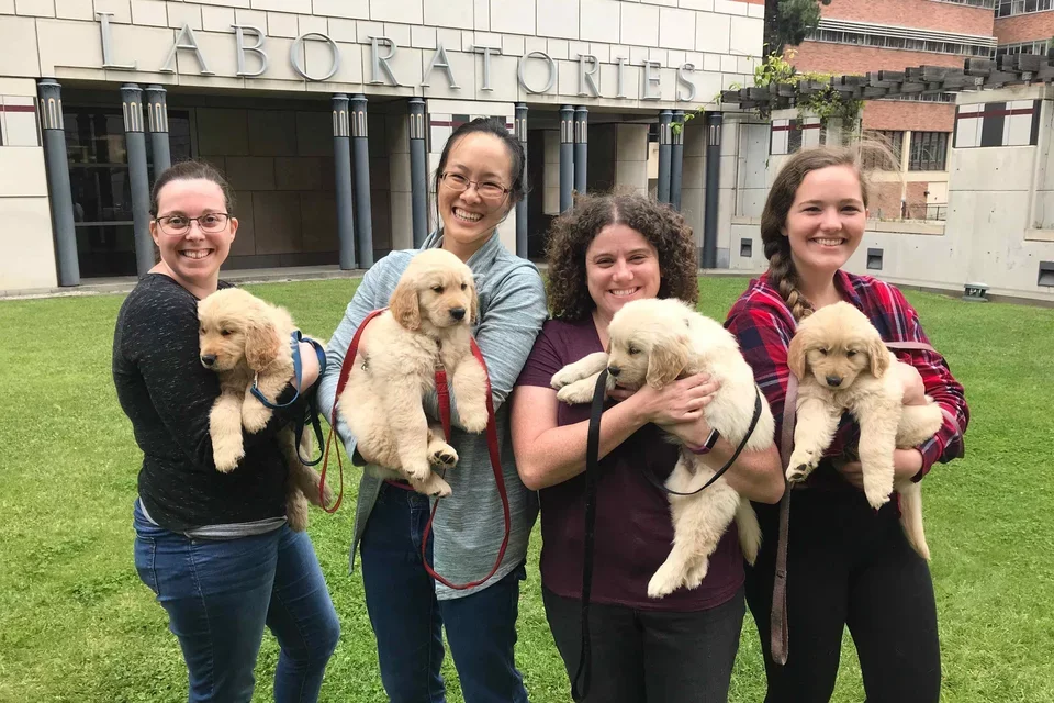 Group holding puppies