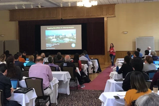 Liz gives a talk at the Gordon Research Conference on Atherosclerosis at Sunday River, Newry, ME
