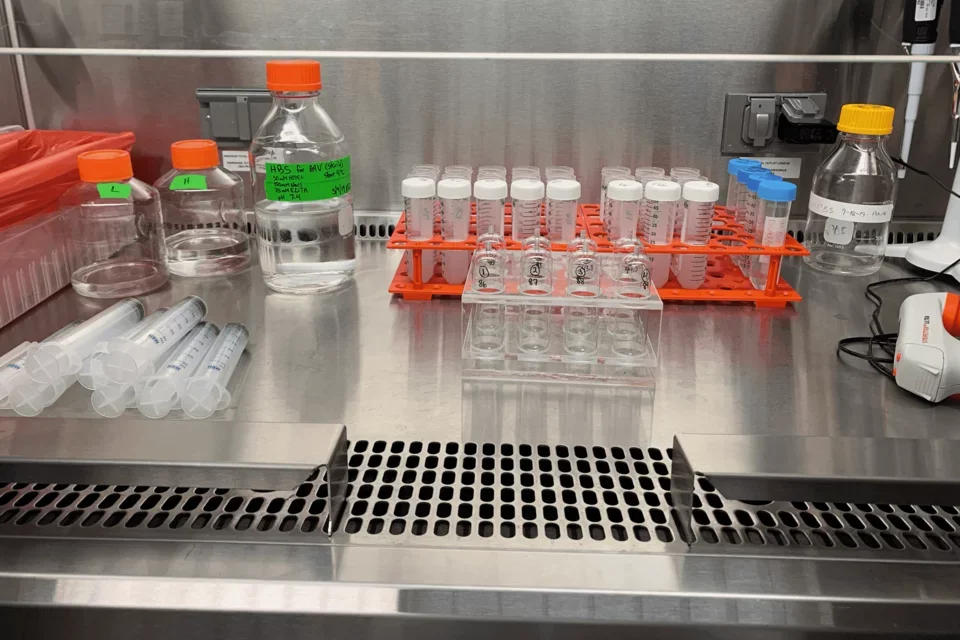 lab vials