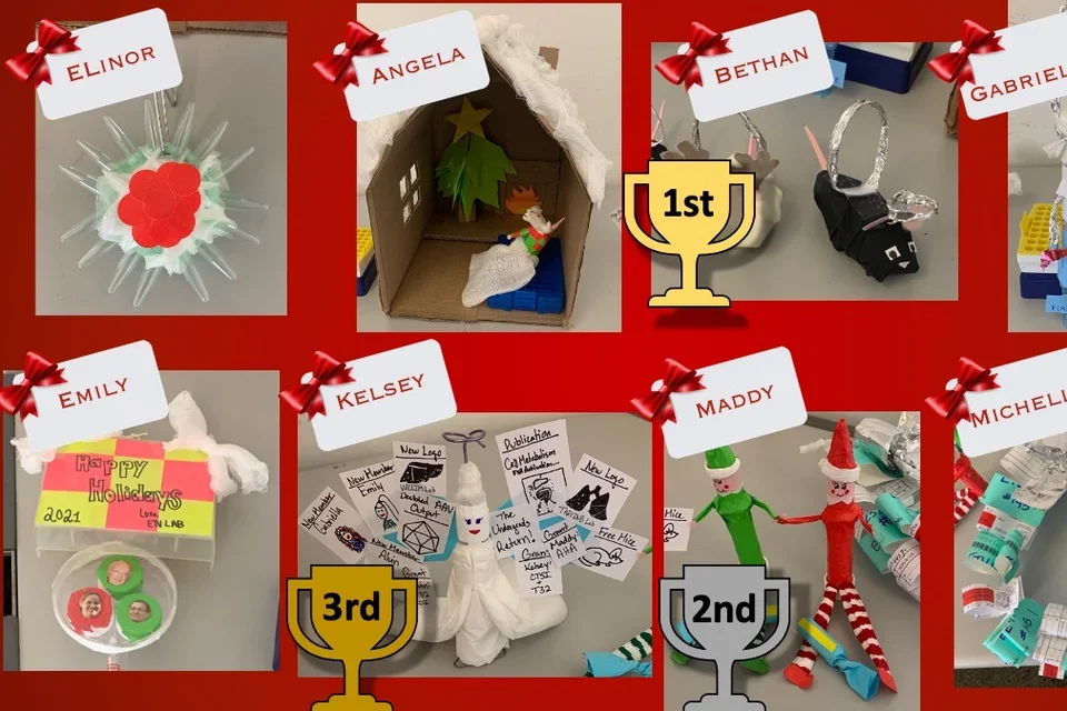 Holiday decoration winners