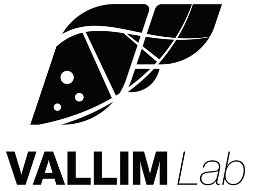 Vallim Logo