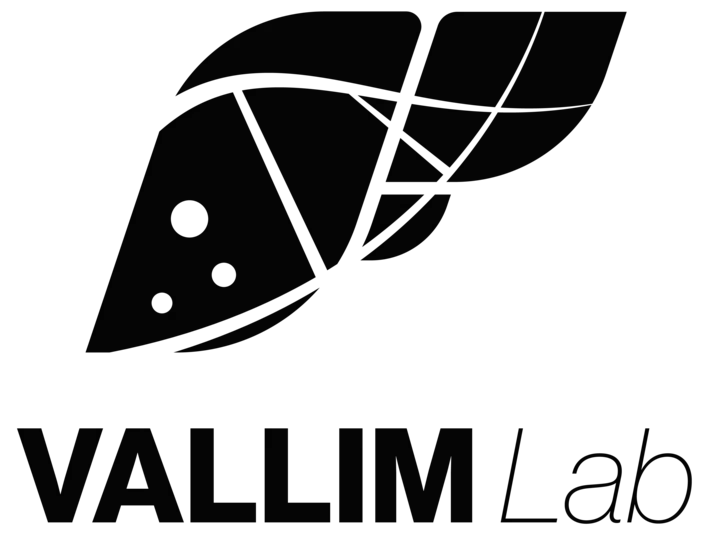 Vallim Logo