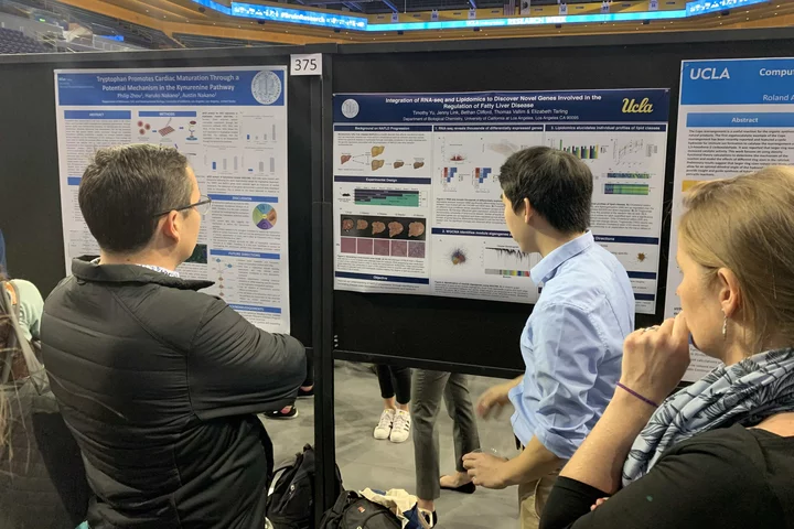 Poster presentations
