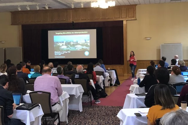 Liz gives a talk at the Gordon Research Conference on Atherosclerosis at Sunday River, Newry, ME