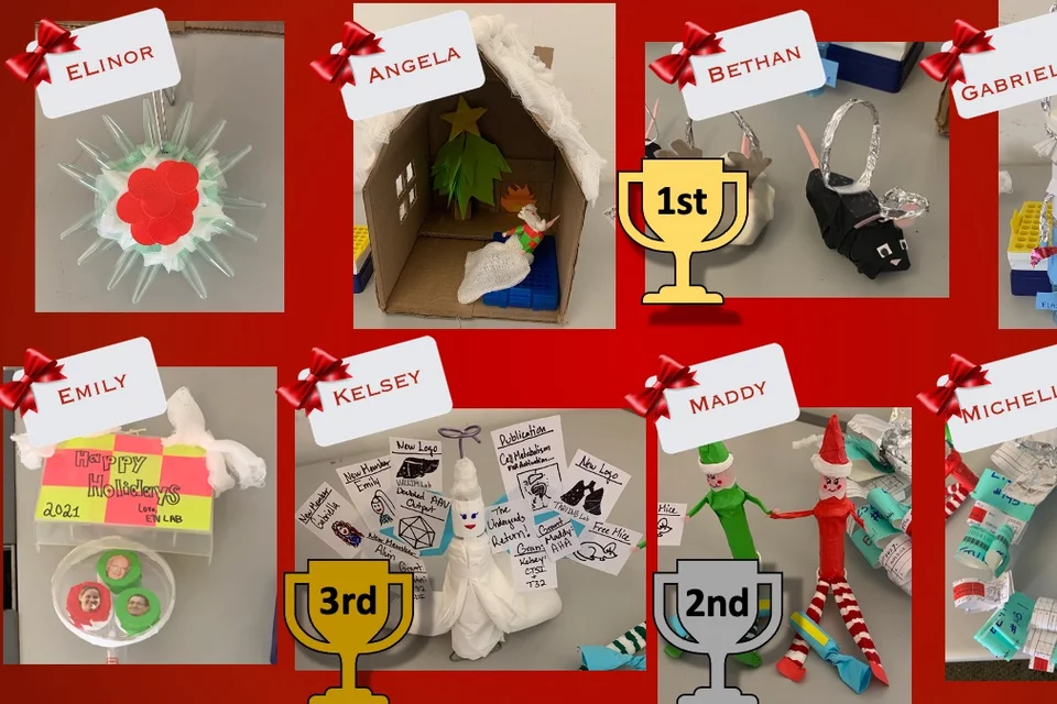 Holiday decoration winners