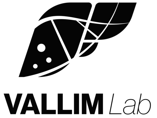 Vallim Logo
