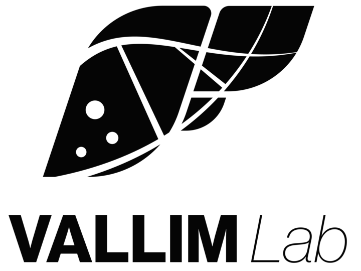 Vallim Logo